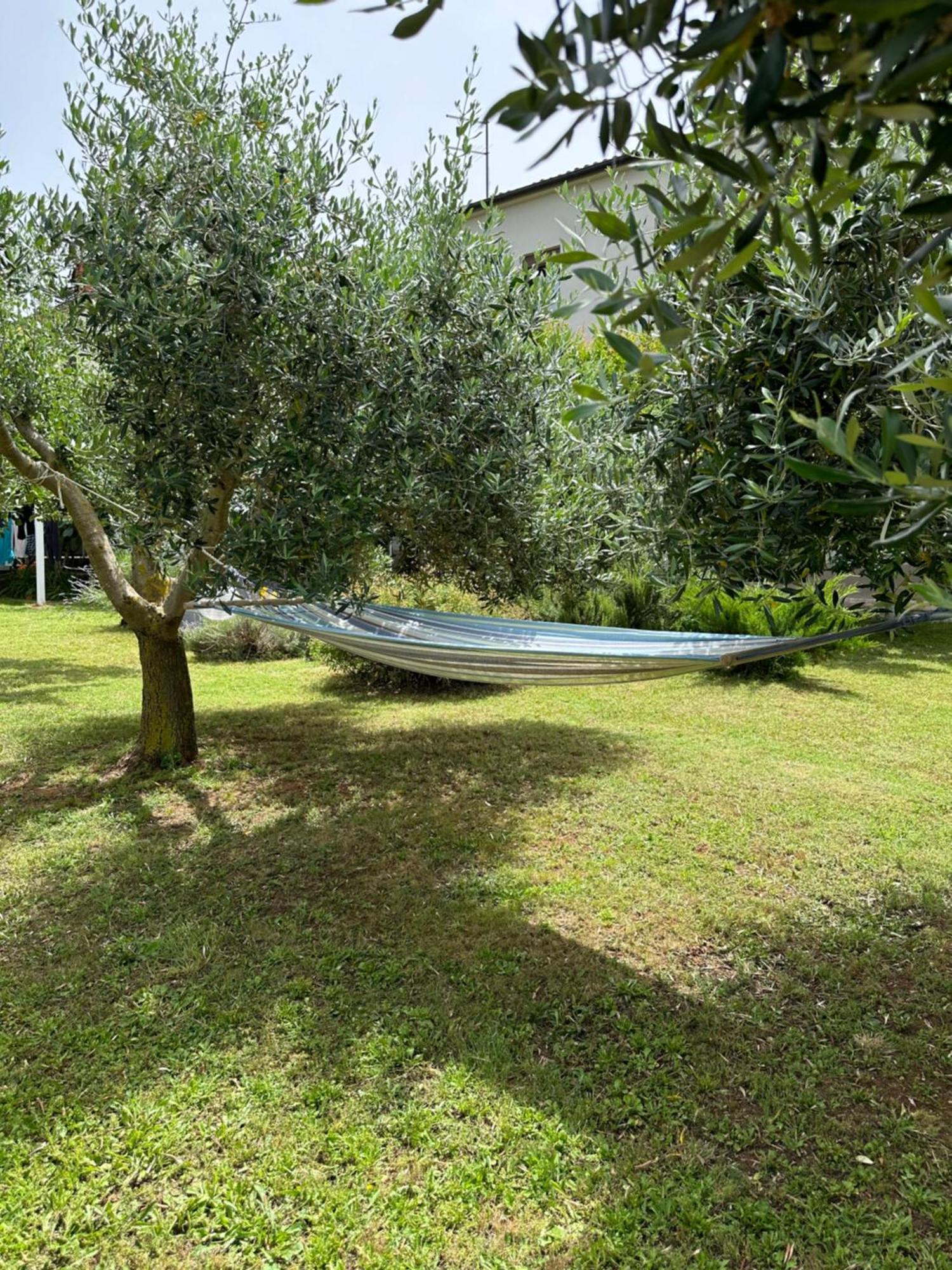 Apartment Karolina - Green Oasis Pula Extérieur photo